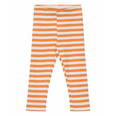 Sgissey Yd Striped Leggings Acorn Bottoms Leggings Orange Soft Gallery