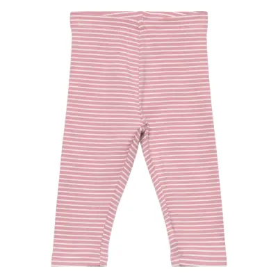 Stripped Cotton Leggings Bottoms Leggings Rosa Mango
