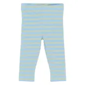 The New Tnsbfro Rib Leggings - Blue - 56