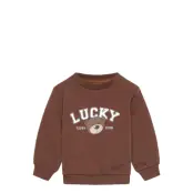 The New Tnsbperseus Sweatshirt - Brown - 80