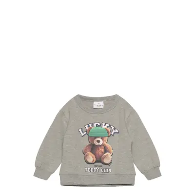 The New Tnstpippin Os Sweatshirt - Grey - 98