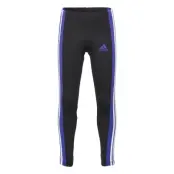 Tights Running/training Tights Svart Adidas Performance