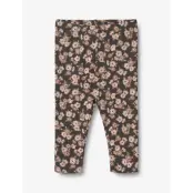 Wheat Leggings Jules - Black - 62