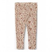 Wheat Wool Leggings Agi Beige