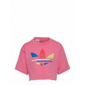 Adicolor Cropped Tee W T-shirts Short-sleeved Rosa Adidas Originals