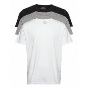 August T-shirts Short-sleeved Vit Lyle & Scott