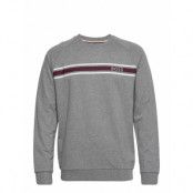 Authentic Sweatshirt Sweat-shirt Tröja Grå BOSS