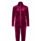 Decoy Velour Homewear Set Pyjamas Röd Decoy