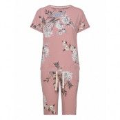 Sets Pk 10 X Pyjamas Rosa Triumph