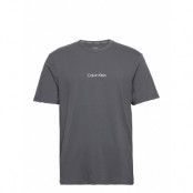 S/S Crew Neck *Villkorat Erbjudande T-shirts Short-sleeved Grå Calvin Klein