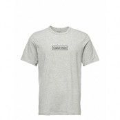 S/S Crew Neck T-shirts Short-sleeved Grå Calvin Klein
