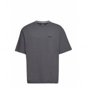 S/S Crew Neck Tops T-shirts Short-sleeved Grå Calvin Klein