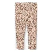 Wheat Wool Leggings Agi - Beige - 68