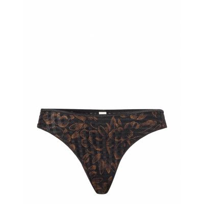 Avero Stringtrosa Underkläder Brun Marie Jo