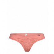 Brief Nora Thong Low Stringtrosa Underkläder Rosa Lindex