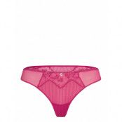 CHANTELLE Cabaret Sauvage Tanga Rosa