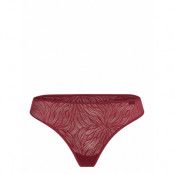 Calvin Klein Thong Burgundy