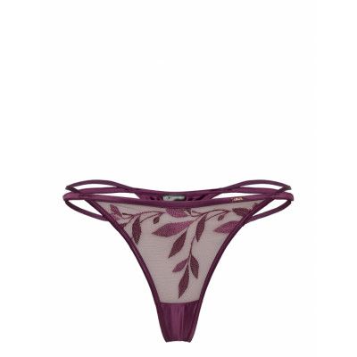 Domenica Hl String Tr Stringtrosa Underkläder Purple Hunkemöller