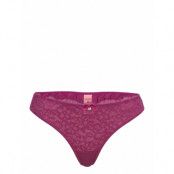 Hunkemöller Marine Thong Burgundy