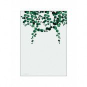 String Of Pearls Home Decoration Posters & Frames Posters Botanical Multi/mönstrad Poster & Frame