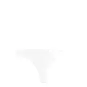 Calvin Klein Thong Vit