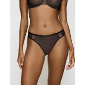 Triumph Palina Cosmic Heartbeat String - Black - 40