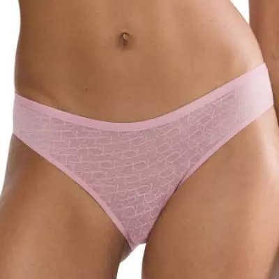Triumph Signature Sheer Tai Brief
