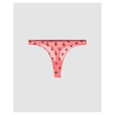 Understatement Underwear Lace Thong Korall