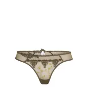 White Nights Thong Stringtrosa Underkläder Khakigrön Passionata