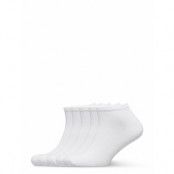 Claudio Sneaker Socks 5-Pack Ankelstrumpor Korta Strumpor Vit Claudio