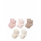 Giftbox Evig Socks Sockor Strumpor Pink Wheat