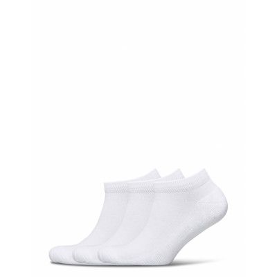 Ross Ankelstrumpor Korta Strumpor Vit Lyle & Scott