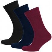 Tiger Colonna Socks Gift Box  3-pack * Fri Frakt * * Kampanj *