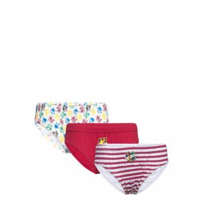 Harry Potter Box Of 3 Briefs Multi/patterned