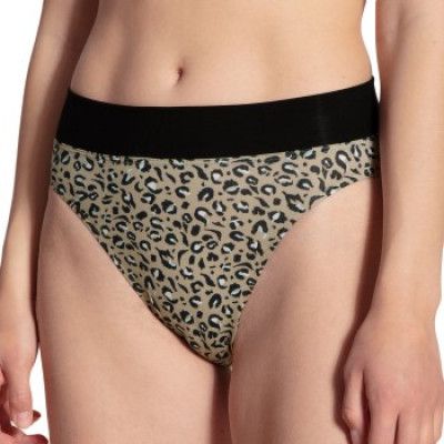 Calida Elastic Trend Brief