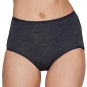JBS of Denmark Wool Maxi Brief
