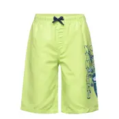 Lego Wear Lwagan 306 - Swim Shorts - Green - 134