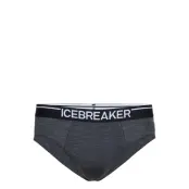 Men Anatomica Briefs Kalsonger Y-front Briefs Svart Icebreaker