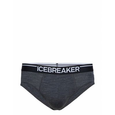 Men Anatomica Briefs Kalsonger Y-front Briefs Svart Icebreaker