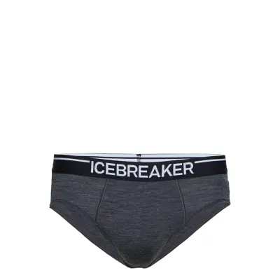 Men Anatomica Briefs Kalsonger Y-front Briefs Svart Icebreaker