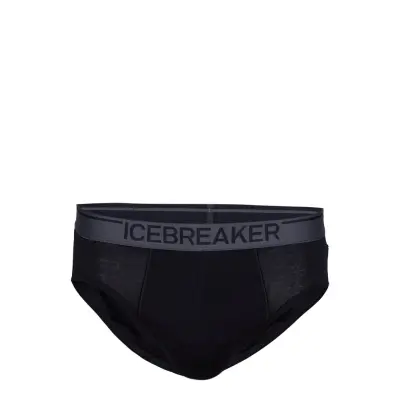 Men Anatomica Briefs Kalsonger Y-front Briefs Svart Icebreaker