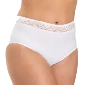 Miss Mary Breeze High Waist Maxi Brief