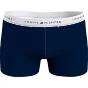 Tommy Hilfiger Icons Logo Trunks