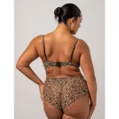 Understatement Underwear Lace Highwaist Briefs - Gold - XL