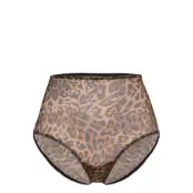 Understatement Underwear Mesh Highwaist Briefs - Brown - XXL